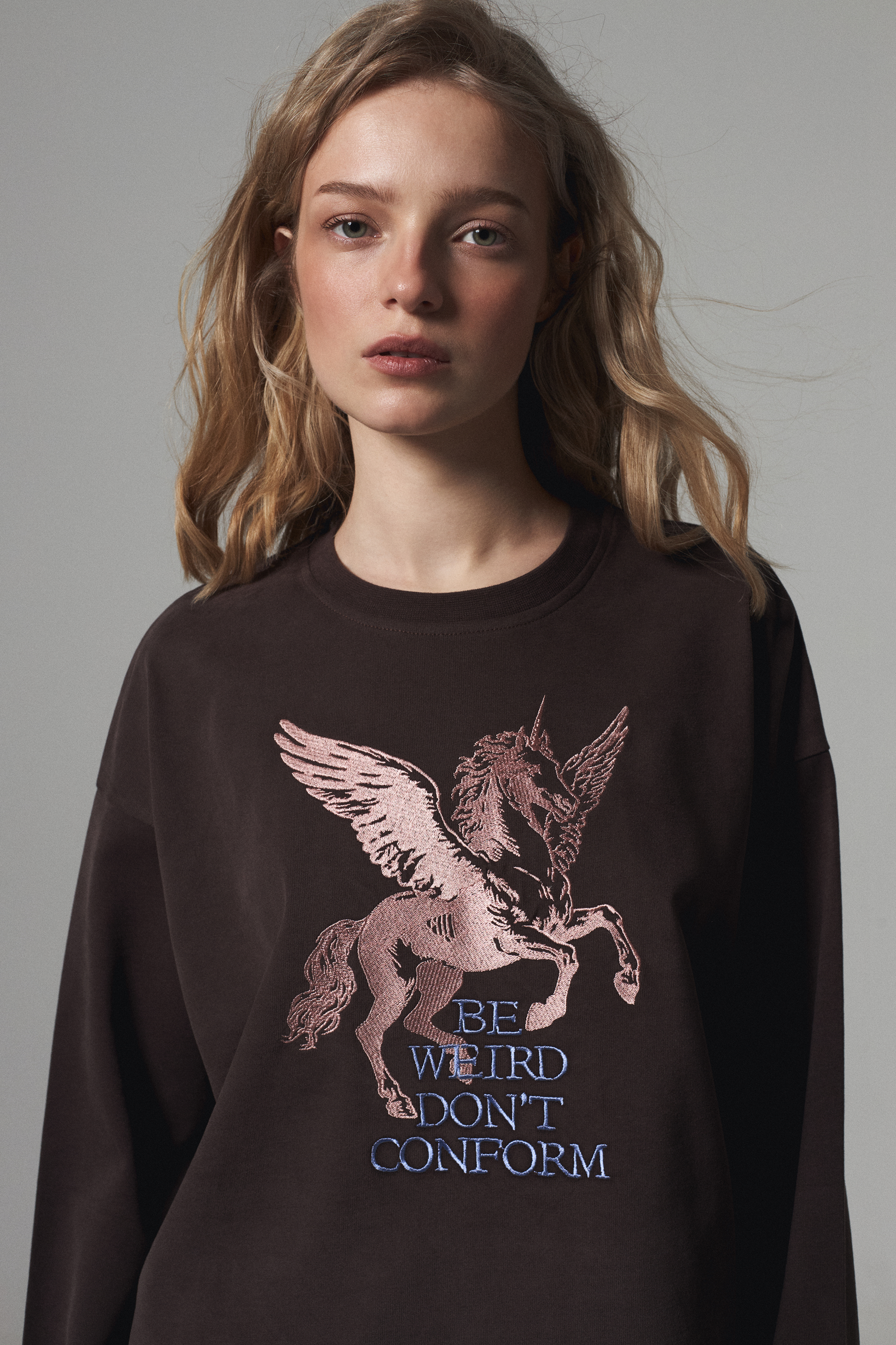 Лонгслів коричневий «Pegasus»